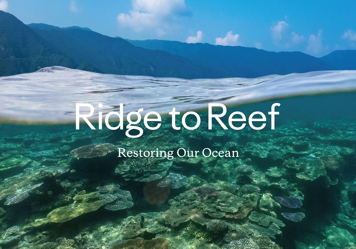 「Ridge to Reef（リッジ・トゥ・リーフ）」プロジェクトを立ち上げたパタゴニア日本支社（出所：パタゴニア・インターナショナル・インク）