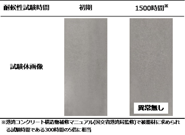 耐候性試験前後における外観比較(出所:積水化学工業)