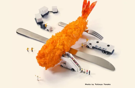 日揮HDらの「Fry to Fly Project」PRイメージ（出所：国土交通省）