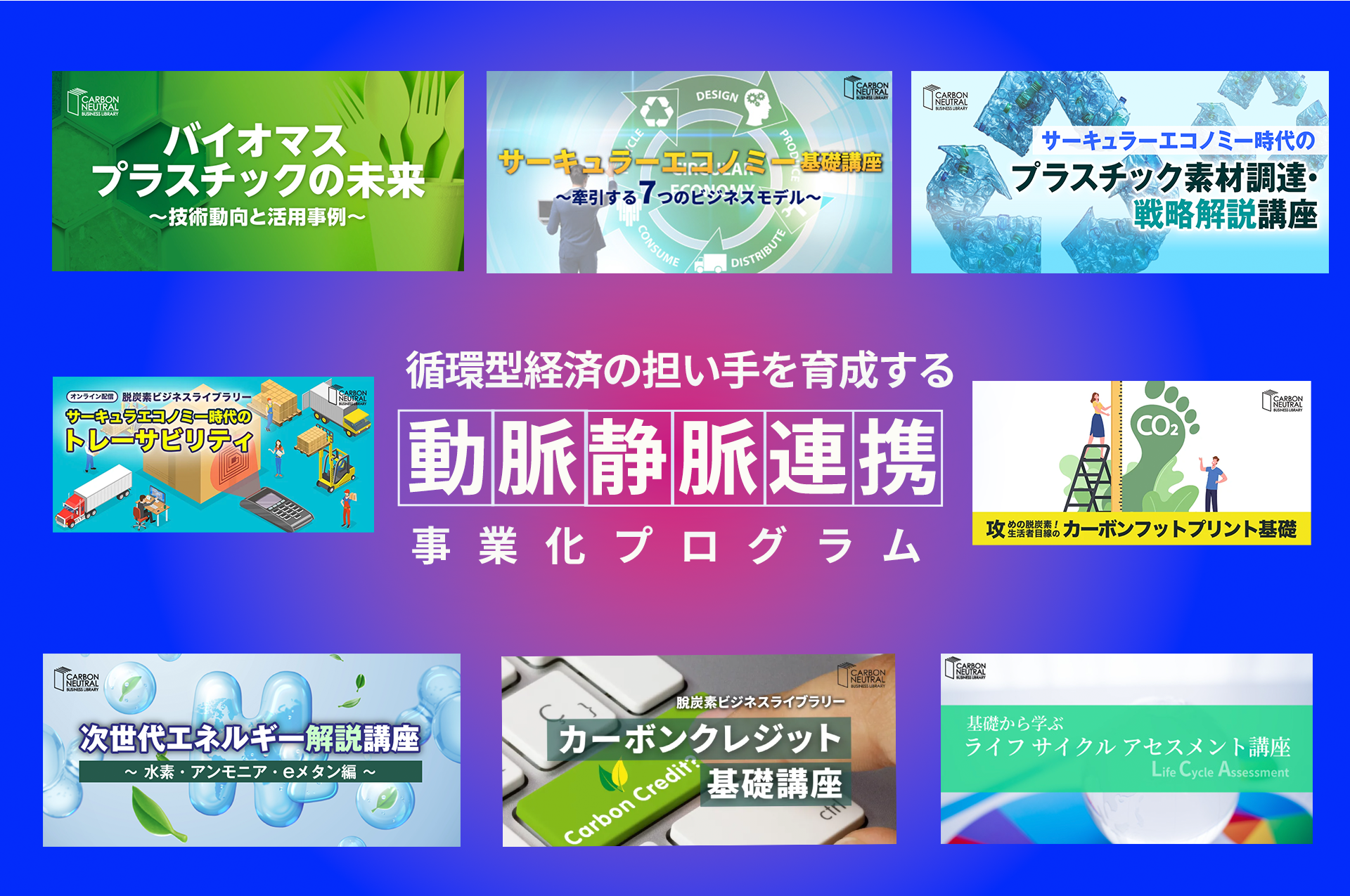 動脈静脈連携事業化プログラム7