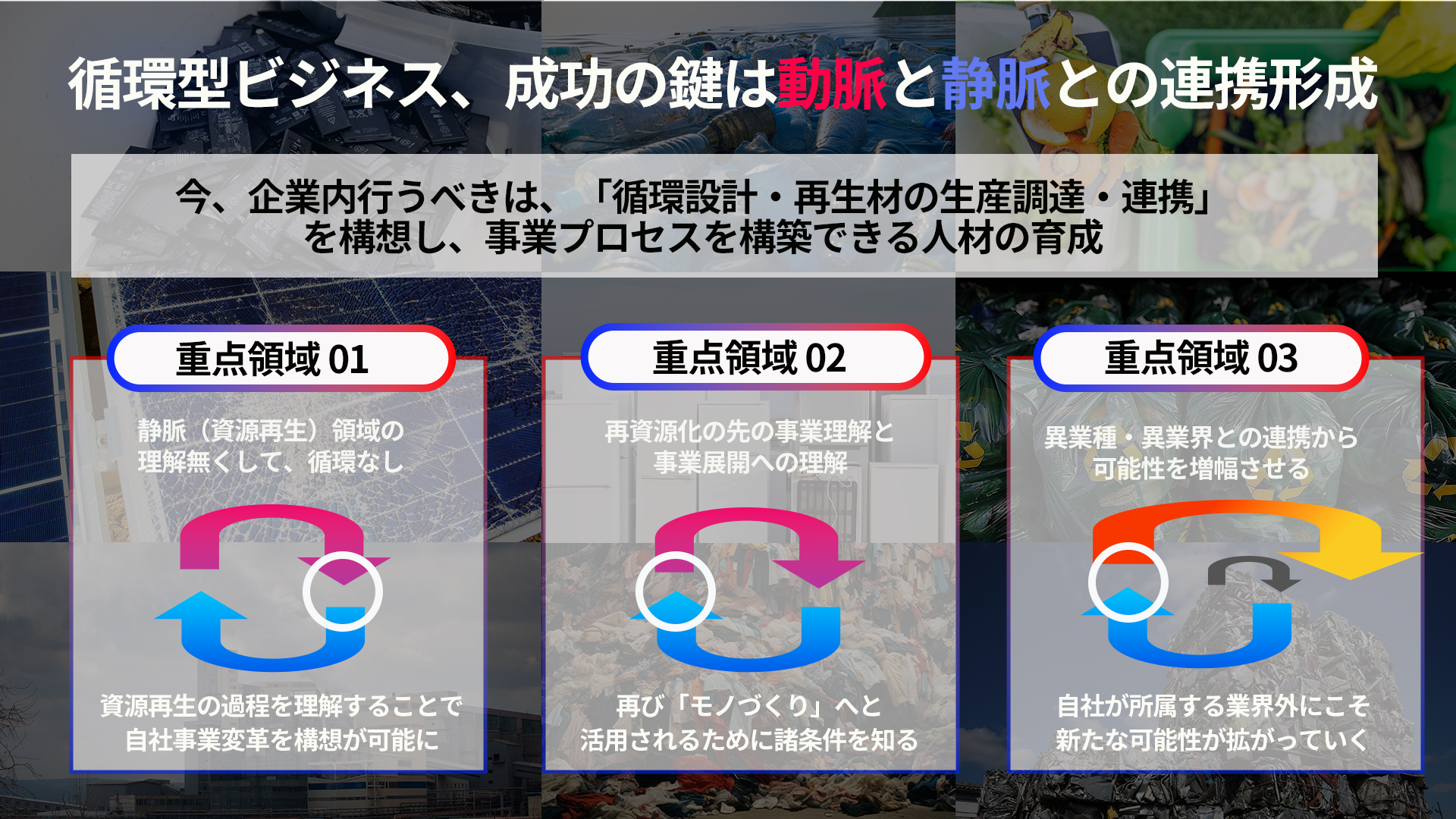動脈静脈連携事業化プログラム2