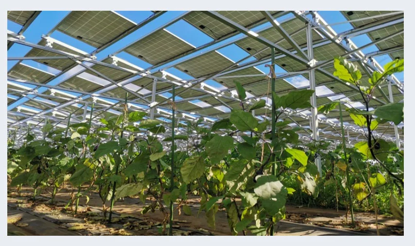 運用する営農型太陽光発電事業（ソーラーシェアリング）の一例（出所：東北電力）