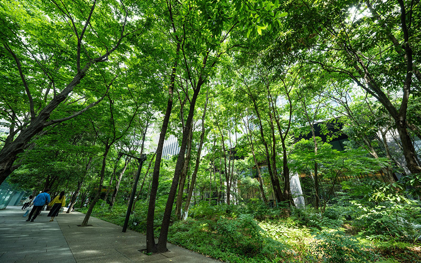 東京建物の「大手町タワー（大手町の森）」（出所：東京建物）