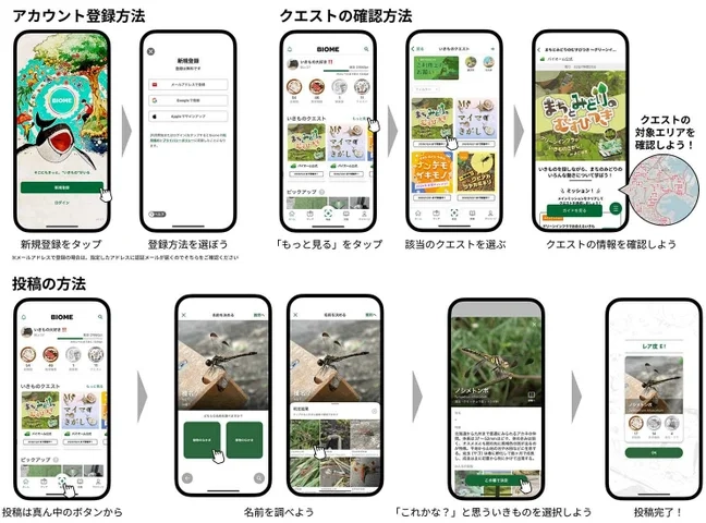 横浜で参加型ゲームによる生物調査、グリーンインフラ投資促進へ ...